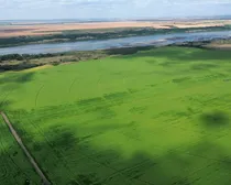 dji_fly_20260810_152718_176_1786544536575_photo_optimized2-1.JPG