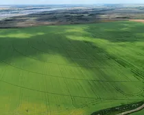 dji_fly_20260810_152832_181_1786544534637_photo_optimized2-1.JPG