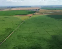 dji_fly_20260810_152844_183_1786544533858_photo_optimized2-1.JPG