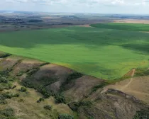 dji_fly_20260810_153020_188_1786544531957_photo_optimized2-1.JPG
