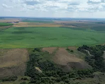 dji_fly_20260810_153106_192_1786544530454_photo_optimized2-1.JPG