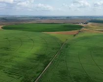 dji_fly_20260810_153602_209_1786544524226_photo_optimized2-1.JPG