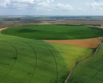 dji_fly_20260810_153628_211_1786544523486_photo_optimized2-1.JPG