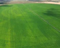 dji_fly_20260810_153758_218_1786544520848_photo_optimized2-1.JPG