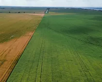 dji_fly_20260810_153952_224_1786544518118_photo_optimized2-1.JPG