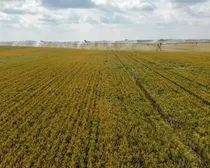 dji_fly_20260810_154248_228_1786544516498_photo_optimized2.JPG