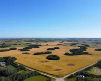 dji_fly_20260821_100624_70_1787329360125_photo_optimized-1.JPG