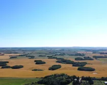 dji_fly_20260821_100756_71_1787329292467_photo_optimized-1.JPG