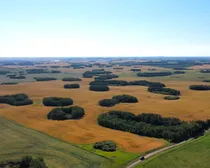 dji_fly_20260821_101516_73_1787329290567_photo_optimized-1.JPG