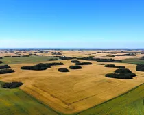 dji_fly_20260821_101732_75_1787329288095_photo_optimized-1.JPG