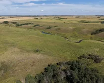 dji_fly_20260902_141144_0524_1788449934175_photo.jpg