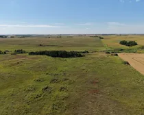 dji_fly_20260902_141600_0534_1788449932681_photo.jpg