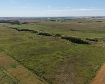 dji_fly_20260902_141624_0536_1788449932429_photo.jpg