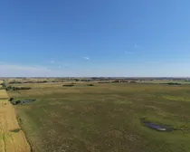 dji_fly_20260902_142118_0551_1788449930406_photo.jpg