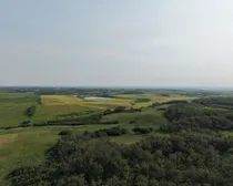fieldandbushline.jpg