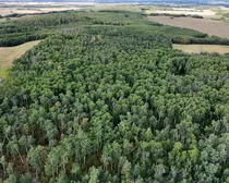 hnidynorth05.JPG