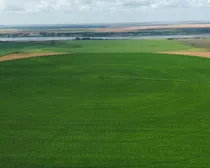 irrigatedfarmland3