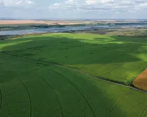 irrigatedfarmland5-1.irrigatedfarmland5