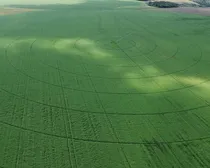irrigatedfarmland6