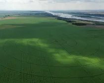 irrigatedfarmland7