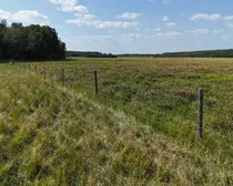 koehn34.JPG