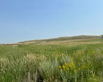 photo14.JPG