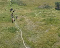 photo8.JPG