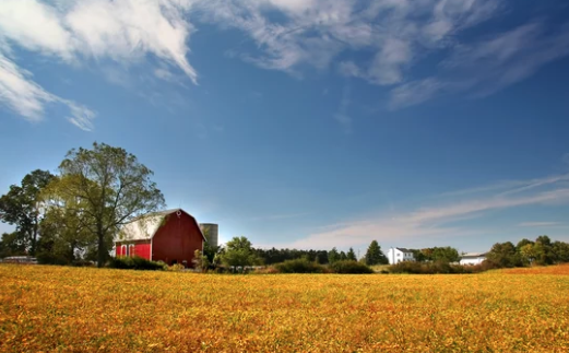 Image for showcase-your-farm-in-summer