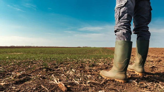 Image for planning-for-the-sale-of-your-farm