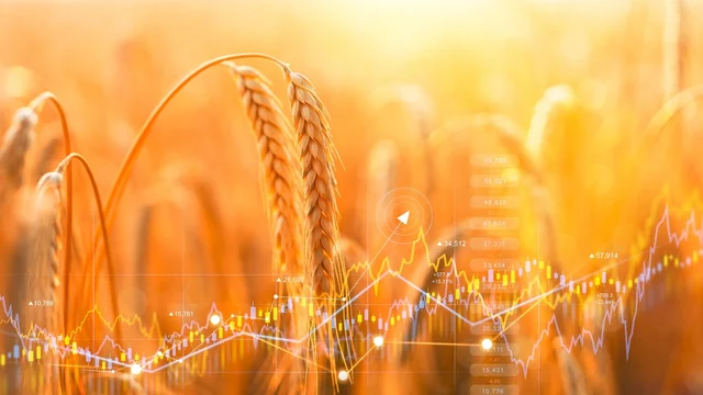 Image for getting-the-most-value-out-of-your-farm-sale-2