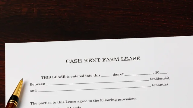 Image for should-you-lease-or-buy-farmland