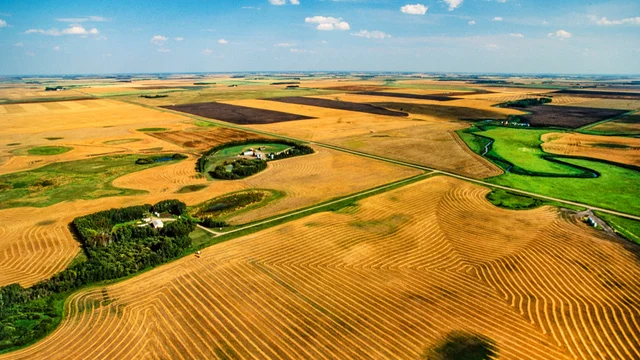 Image for the-future-of-farming-in-saskatchewan-is-growing