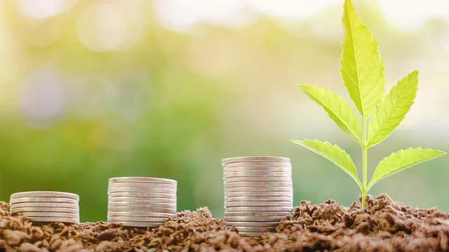 Image for getting-the-most-value-out-of-your-farm-sale