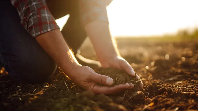 Image for the-ever-changing-landscape-of-farmland-rentals