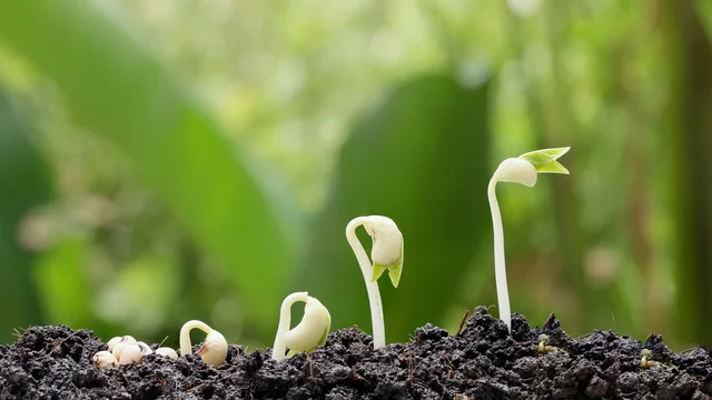 Image for rock-solid-can-anything-tame-farmland-prices