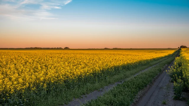 Image for what-will-it-take-to-knock-canadas-farmland-market-out-of-its-holding-pattern