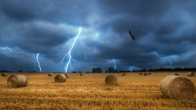 Image for farmland-market-dynamics-shifting