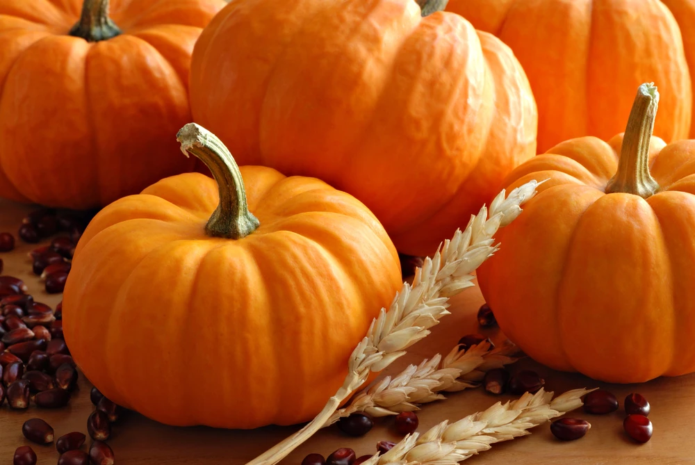 Image for benefits-of-practicing-gratitude-on-thanksgiving-and-beyond