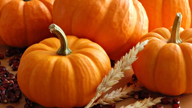 Image for benefits-of-practicing-gratitude-on-thanksgiving-and-beyond