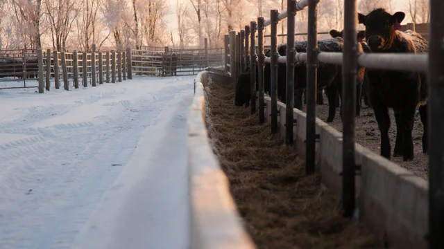 Image for harvesting-opportunities-why-november-is-the-perfect-time-to-list-your-farmland