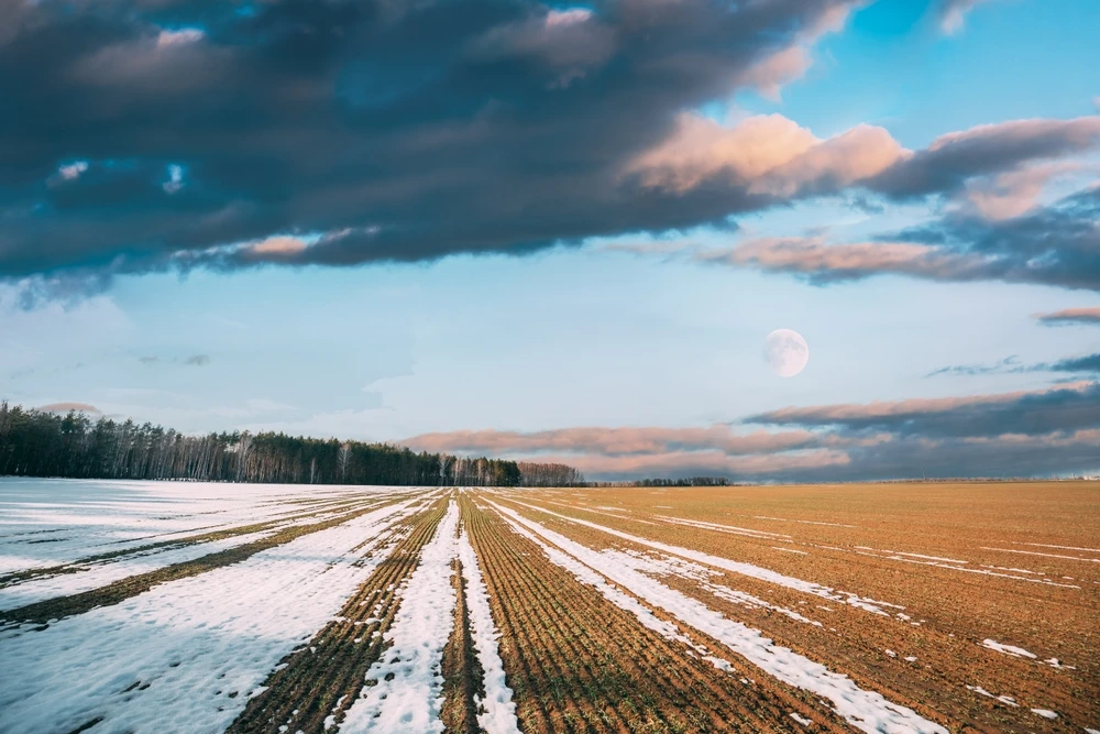 Image of a field with trees in the far distance and clouds in the sky