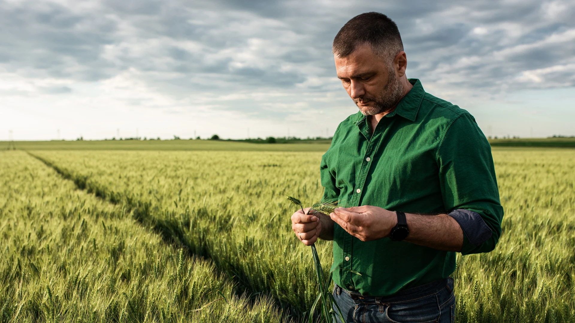 Image for overwhelmed-by-the-thought-of-selling-your-farmland-youre-not-alone