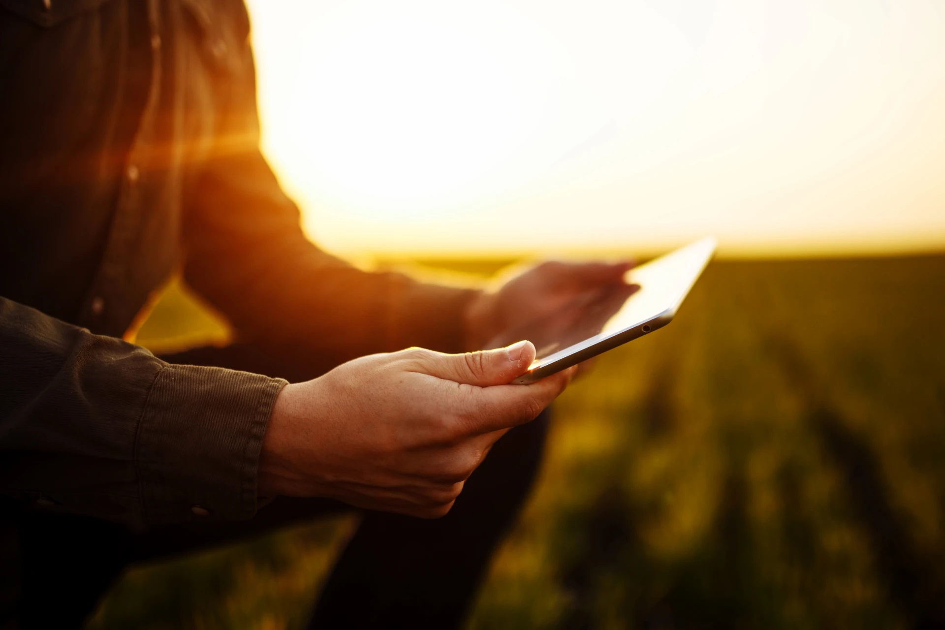 Image for beyond-the-to-do-list-how-farmers-can-use-ai-to-think-bigger